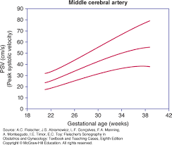 doppler interrogation of the fetal circulation fleischers