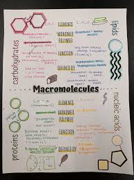 Ap Biology Notes Biology Notes Chemistry Ap Biology Notes Ap Biology Humor Ap Biology Study Ap Bi In 2020 Biology Notes Biochemistry Notes Nursing School Notes
