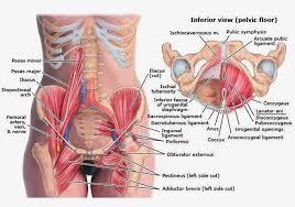 There Might Be A Big Storm Up Wreaking Havoc But Don T Let That Put A Toll On Your Body If You Ve Been Sitting A Massage Therapy Pelvic Floor Reflexology Oils