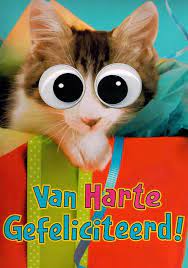 Bol Com Verjaardagskaart Extra Groot Van Harte Gefeliciteerd Poes