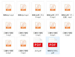 奸的好人系列《江魔毒辣版NLP课程》