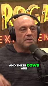 🤠 Saddle up for a fascinating Joe Rogan podcast journey: 'Cowboys vs  Eco-Ranchers