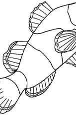 A colorier, des poissons clown qui jouent avec la méduse. Coloriage Poisson Clown En Ligne Gratuit A Imprimer