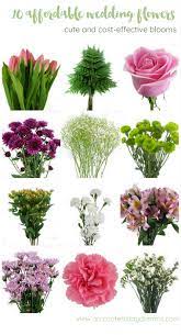 Affordable wedding bouquets near me. The Most Affordable Types Of Wedding Flowers On A Budget