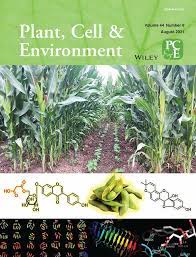 We did not find results for: Plant Cell Environment Wiley Online Library