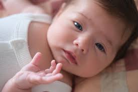 Audrey Levine Photo (@audreylevinephoto) • Instagram photos and videos