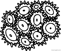 Push pack to pdf button and download pdf coloring book for free. Beautiful Coral Reef Coloring Page Coloringall