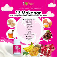 Minyak zaitun bukan saja memberikan asid lemak secukupnya untuk perkembangan bayi, asid. Download Makanan Yang Sihat Untuk Ibu Hamil Pictures Ayoesihat