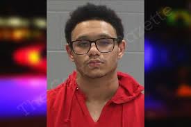 Bryan Runyon — Baldwin County Jail Bookings