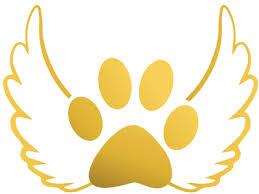 Free Free Vet Life Svg 489 SVG PNG EPS DXF File