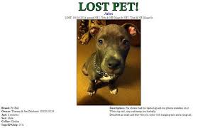 Two Arrested After Missing Puppy Found For Sale On Craigslist Puppy Find Save Animals Losing A Pet