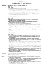 Creating a resume (cv) is an important step towards finding a job in australia, especially as the australian format might be a bit different then the differences between the european cv and the australian resume. Tax Consultant Resume Samples Velvet Jobs