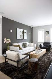 Avoid making the most common diy mistakes that crop up when painting accent walls with these expert tips. Our Top 10 Tips For Compact Living Mr Price Home Grey Walls Living Room Grey Accent Wall Living Room Living Room Wall Color