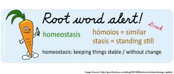 Word Parts Vocabulary Strategies
