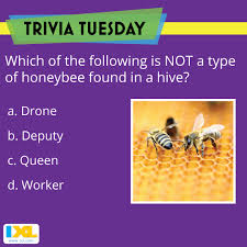 No matter how simple the math problem is, just seeing numbers and equations could send many people running for the hills. See If You Can Answer This Buzzworthy Triviatuesday Question Trivia Tuesday Trivia Questions Trivia