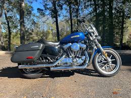 Image result for Birch White 1999 Motorcycle