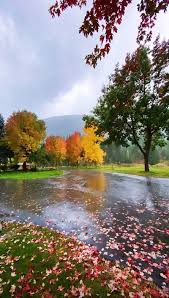 Image result for tbn:ekRZeqiUkU8b5M::www.hormiga.org/fondosescritorio/wallpapers/Paisajes-y-naturaleza/fotos/Paisajes-22.jpg