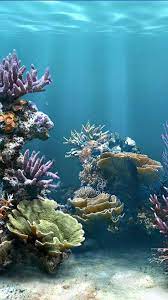 Pin By Ganda S On Wallpapers Underwater Photography Ocean Ocean Underwater Ocean Wallpaper