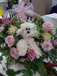 We did not find results for: Al Wilhelmy Flowers 7475 Ridge Rd Parma Oh 44129 Usa