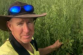 Fruit and vegetable price hikes a struggle for shoppers wanting to support  local farmers