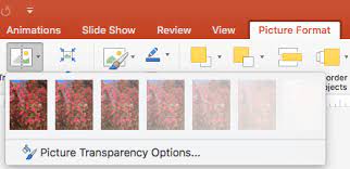 Make A Picture Transparent In Ms Word Picture Transparent One Color