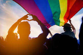 El 28 es el día internacional del orgullo lgbt+ (lesbianas, gay, bisexuales, transexuales y otras sexualidades no heteronormativas) y ahora tienes la posibilidad de reivindicar la igualdad con solo un clic. 10 Facts Que Debes Saber Sobre El Mes De Canasta Rosa