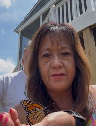 Monarch butterfly sighting in Ontario field