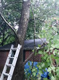 More images for how to keep squirrels off of shepherds hooks » Ways To Keep Squirrels Off Feeders Birdseed Binoculars