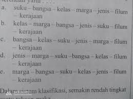 Melatih kucing disiplin 2 konten. Quot Tuliskan Urutan Takson Pada Hewan Dari Tingkatan Tertinggi Ke Tingkatan Brainly