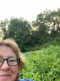 Has anyone tried to grow blueberries or rhubarb in pots?