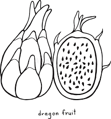 Find the perfect tropical fruit stock photos and editorial news pictures from getty images. Dragon Fruit Coloring Page Graphic Vector Black And White Art F Stock Vector Illustration Of Fresh Natural 96476541