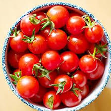 Tomato Plants F1 Summerlast Suttons