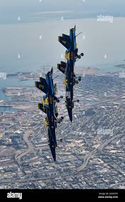Image result for Dark Blue 2013 Fleet