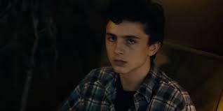 All The Movies Timothée Chalamet Was In Before He Got Famous