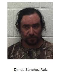 Working to get more details from Greene County Georgia Sheriff's Office