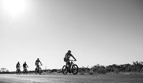 If you're missing some of the fancy designs you made in previous games, you can scan the qr code using the nookline app and bring them on over to new horizons. E Biking In The Name Of Cancer Research Transmoto