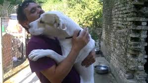 Check spelling or type a new query. Pflegestellen Anihope Ch