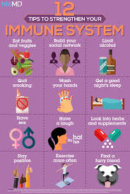 Slideshow Improve Your Immunity How To Boost Your Immune System Immune System Strengthen Immune System