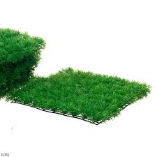 Apalagi dengan pilihan ikan hias yang sangat cantik serta penambahan rumput hias di dalam aquarium bisa anda tempatkan dimana saja dalam bagian rumah seperti dapur, kamar tidur. Rumput Sintetis Aquarium Lazada Indonesia