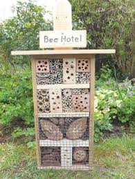 30 Best Australian Native Bees and Bee Hotels images | Native bees ...