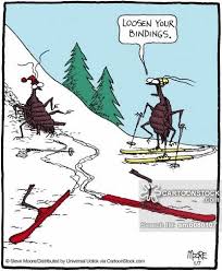 Skiing Accident Cartoons Skiing Accident Cartoon Funny Skiing Accident Picture Skiing Accident Pictures Skiing Accident Imag Ski Trip Ski Art Ski Holidays