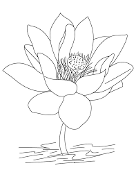 Pin On Flower Coloring Pages
