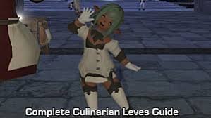 Now let's talk about the best things to do on different levels to make your progression as smooth and quick as this ffxiv culinarian guide should bring you to level 70 really quickly and efficiently. Ffxiv Complete Culinarian Leves Guide Final Fantasy Xiv