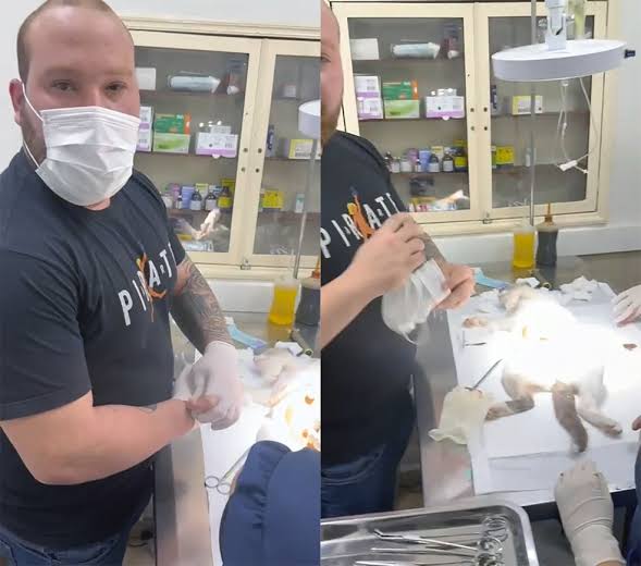 Falso veterinário preso durante cirurgia em Duque de Caxias