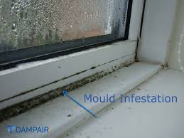 Do you have mold and mildew on your windowsills? Suffering From Streaming Wet Windows Stop Streaming Windows Today