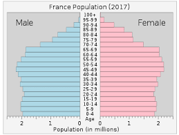 Population active en france en 2014. Demographics Of France Wikipedia