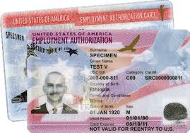 (the number is also embedded within the characters on the backside as well). Employment Authorization Card Using Fileright For Uscis Form I 765 Fileright