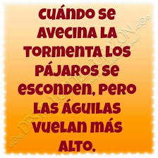 Frases de la que se avecina. Pin On Frases Y Motivacion