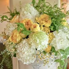 We did not find results for: Making Arrangements Hydrangeas