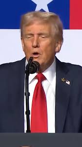 Turning the living room into a theme park>>🎢